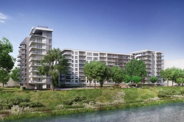 River Point