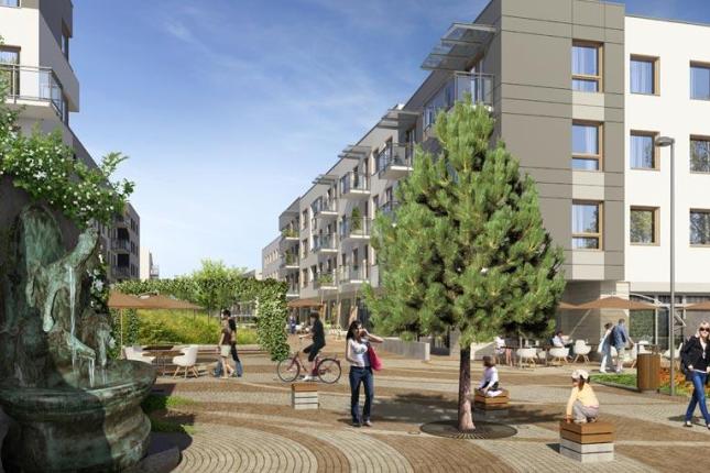 Wolne Miasto