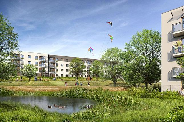 Wolne Miasto