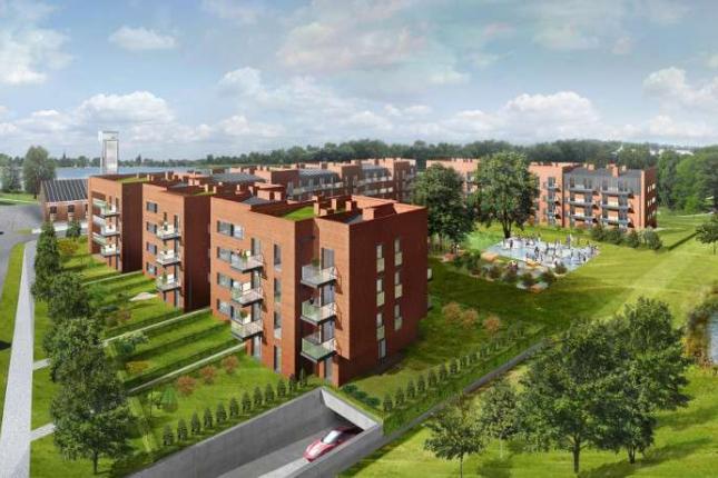 Stara Cegielnia