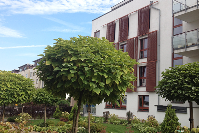 Aura Park