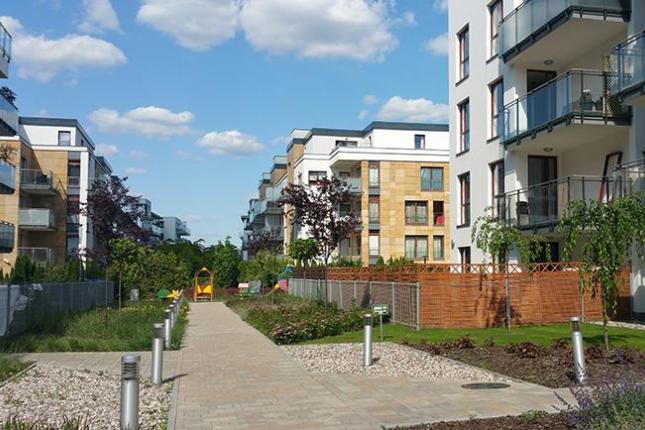 Aura Park
