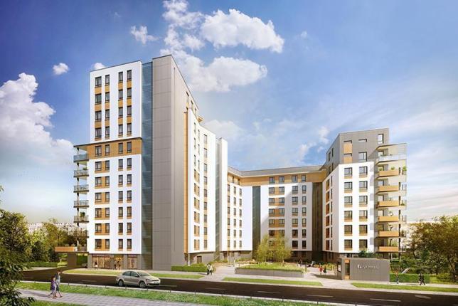 Nowe Południe
