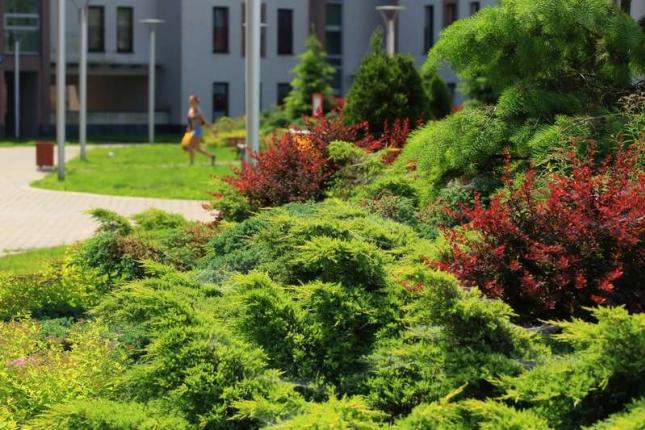 City Park