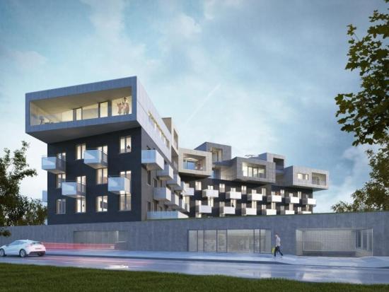 Baildomb Katowice Dąb