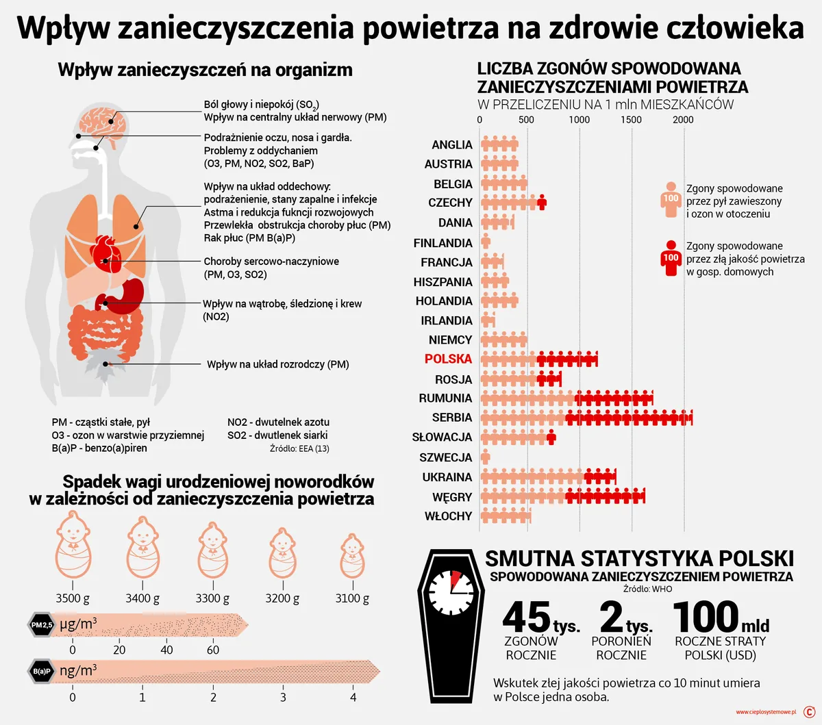Wpływ smogu na zdrowie