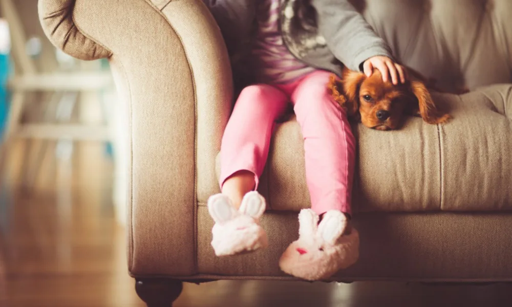 Kupujesz dom? Już teraz pomyśl o rozwiązaniach zwiększających komfort życia!